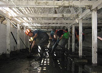 servicios-relacionados-01